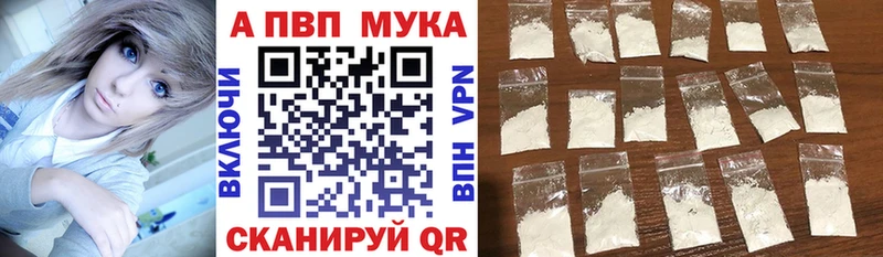 blacksprut зеркало  Гатчина  A PVP СК 