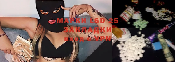 прущие грибы Белоозёрский