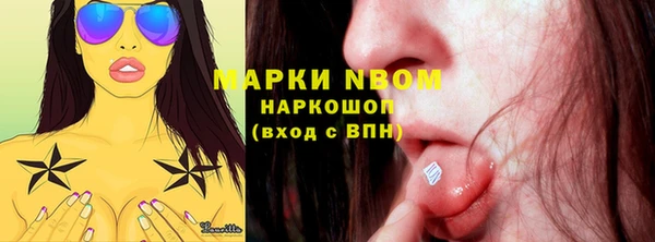 прущие грибы Белоозёрский