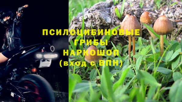 apvp Баксан