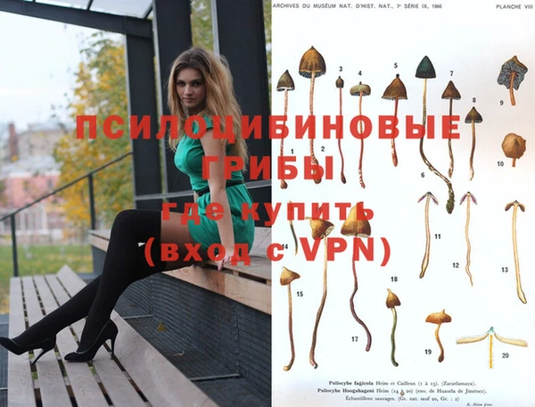 apvp Баксан